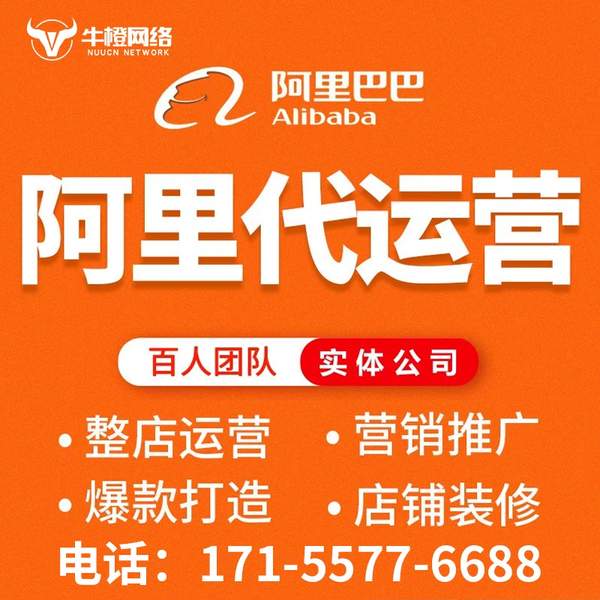 玉林电商代运营
