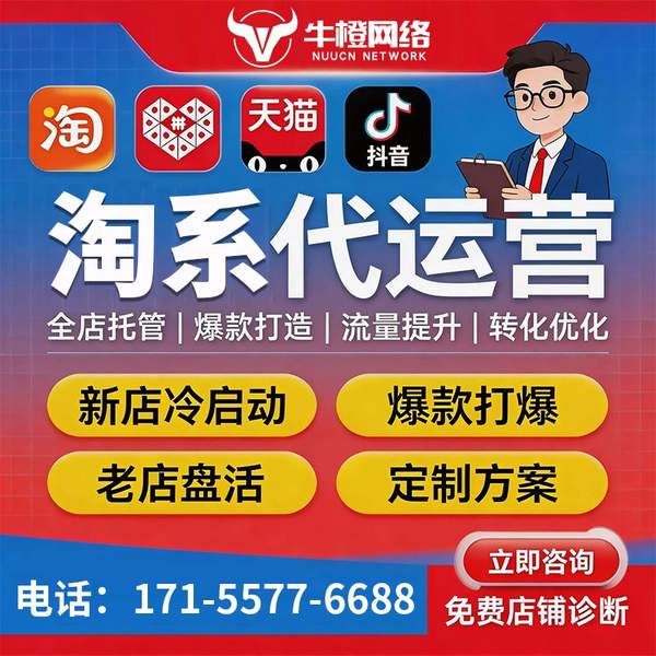 玉林电商代运营