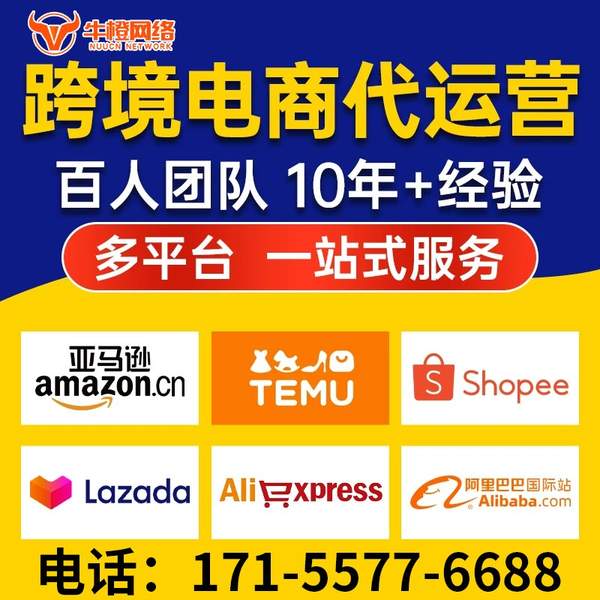 玉林电商代运营