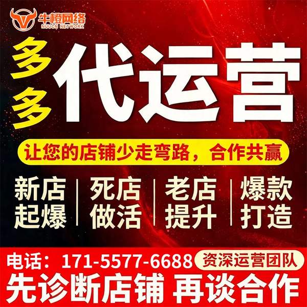玉林电商代运营