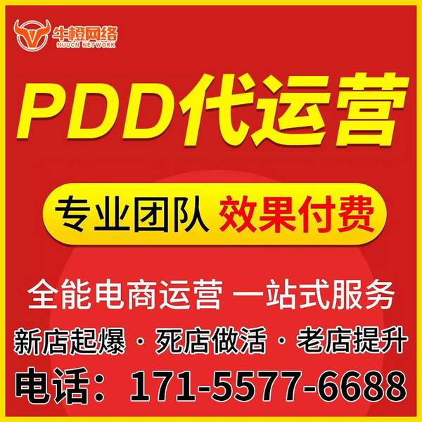 玉林电商代运营