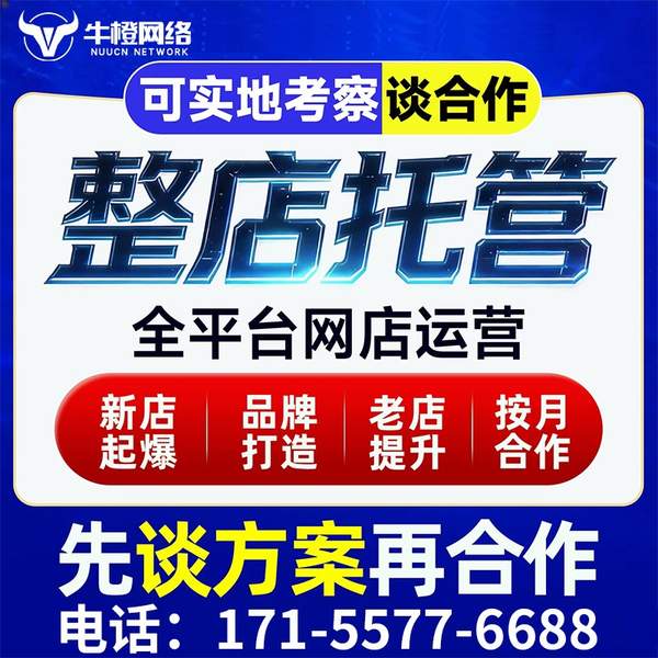 玉林电商代运营
