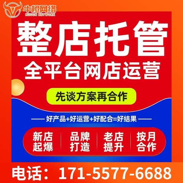 玉林电商代运营