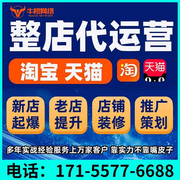 玉林电商代运营