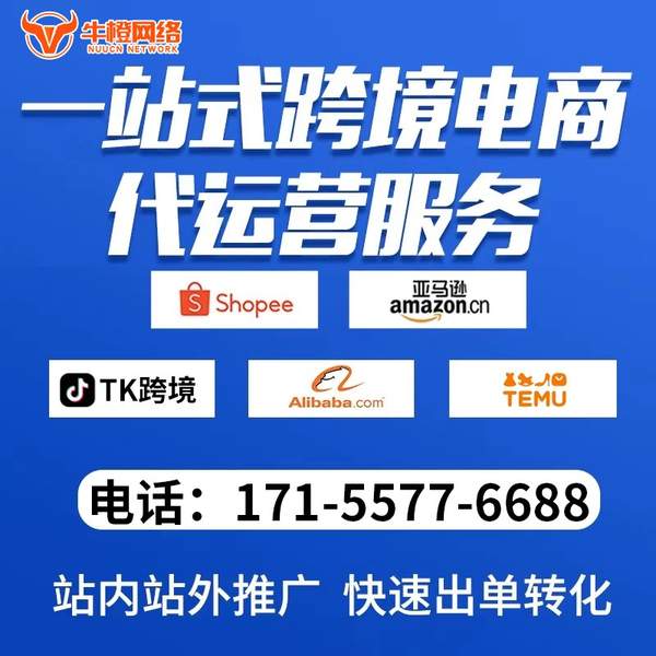 玉林电商代运营