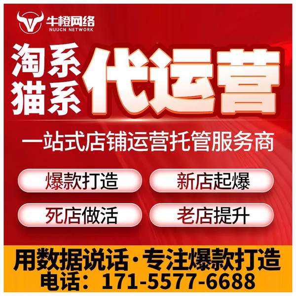 玉林电商代运营